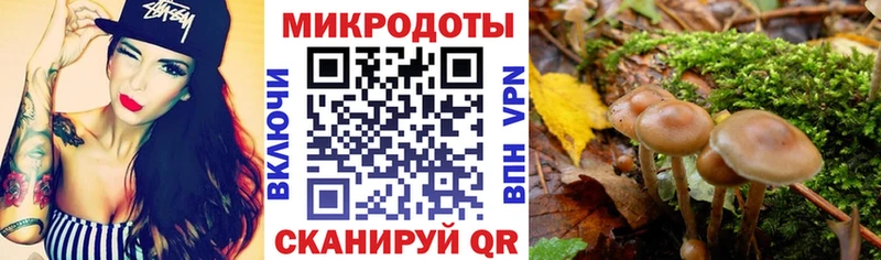 магазин  наркотиков  Петров Вал  Псилоцибиновые грибы мухоморы 